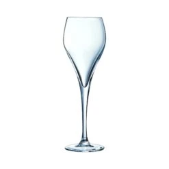 Arcoroc ARC J1478 Brio Sektglas, Sektkelch, 160ml, Glas, Transparent, 6 Stück